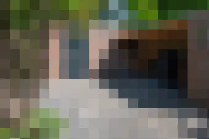 Duinkerkenlaan 49 Eindhoven thumbnail 45