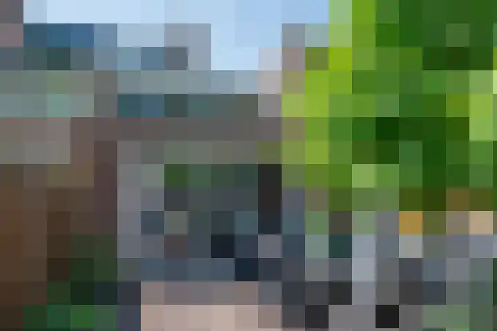 Duinkerkenlaan 49 Eindhoven thumbnail 47