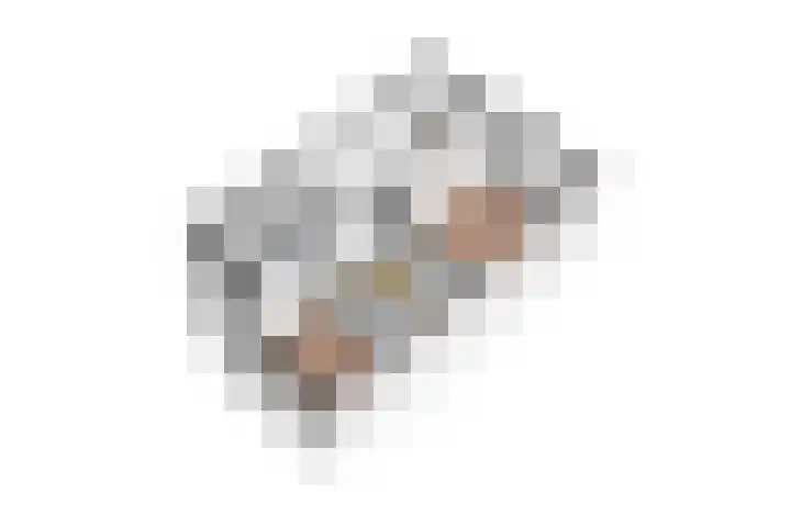 Duinkerkenlaan 49 Eindhoven thumbnail 55