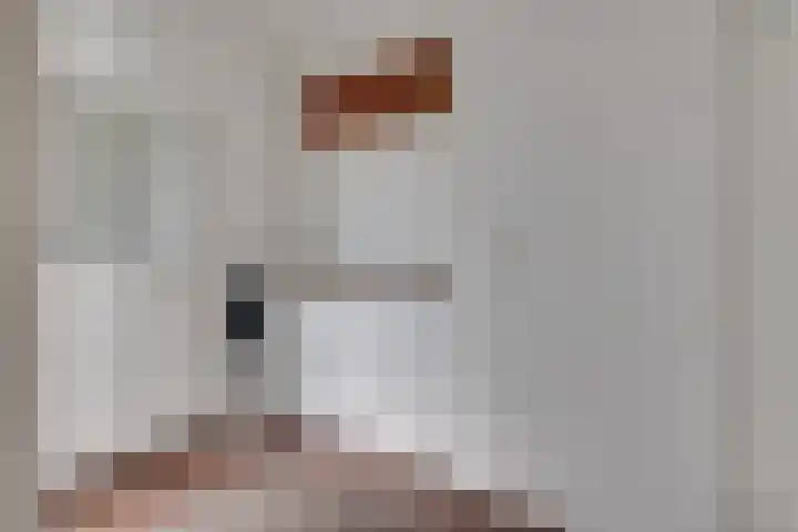 Duinkerkenlaan 49 Eindhoven thumbnail 6