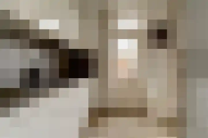Duinkerkenlaan 49 Eindhoven thumbnail 9
