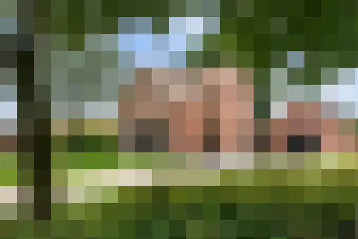 Duinkerkenlaan 52 Eindhoven thumbnail 19
