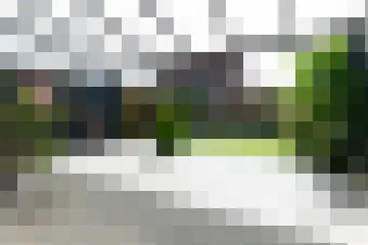 Duinkerkenlaan 52 Eindhoven thumbnail 23