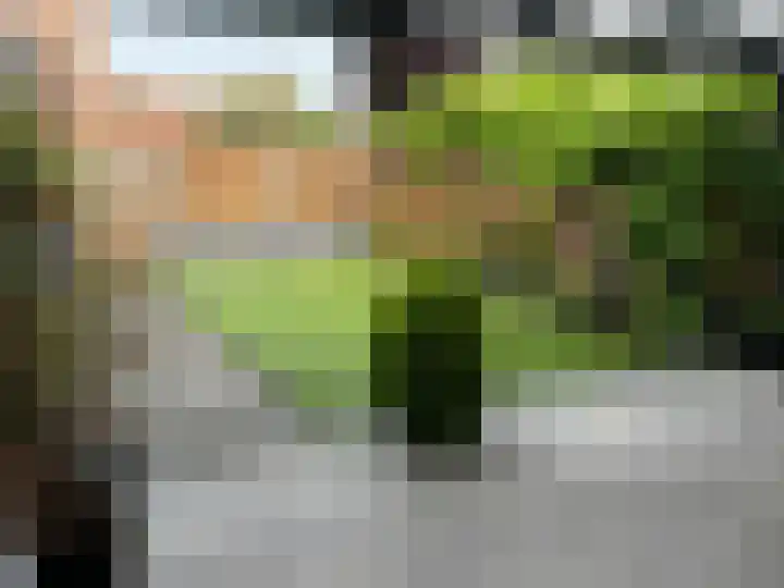 Duinkerkenlaan 52 Eindhoven thumbnail 24