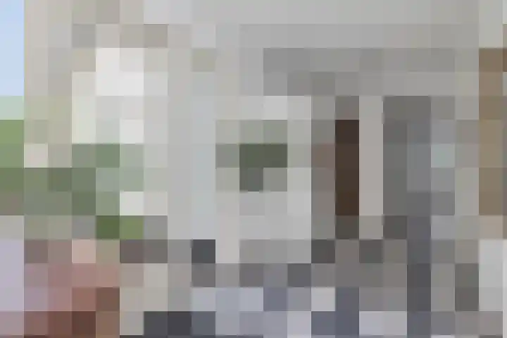 Duinkerkenlaan 52 Eindhoven thumbnail 29