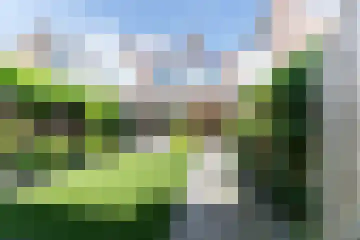 Duinkerkenlaan 52 Eindhoven thumbnail 5