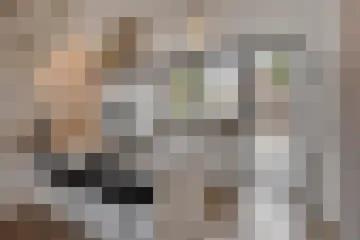 Duinkerkenlaan 70 Eindhoven thumbnail 13