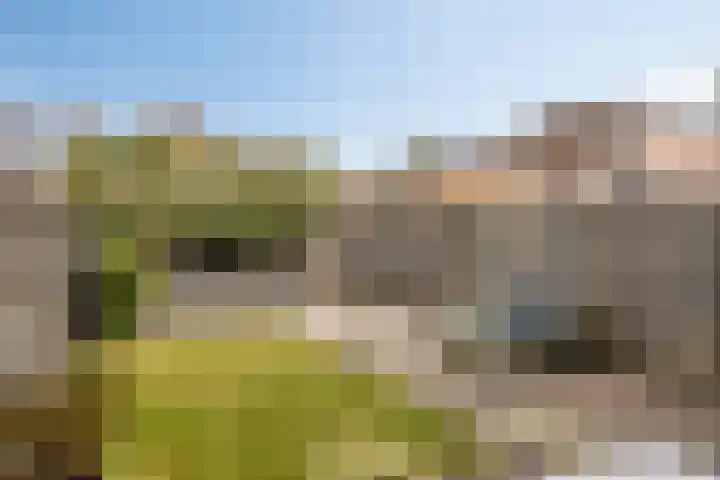 Duinkerkenlaan 70 Eindhoven thumbnail 25