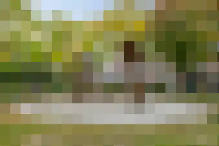 Duinkerkenlaan 70 Eindhoven thumbnail 29
