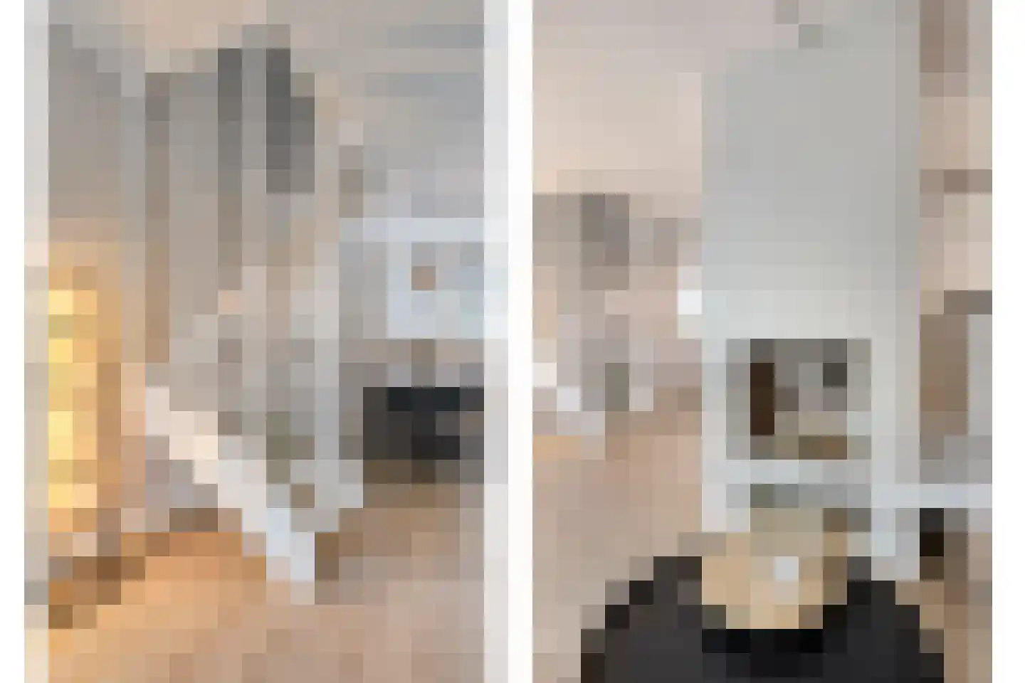 Duinkerkenlaan 71 Eindhoven thumbnail 11