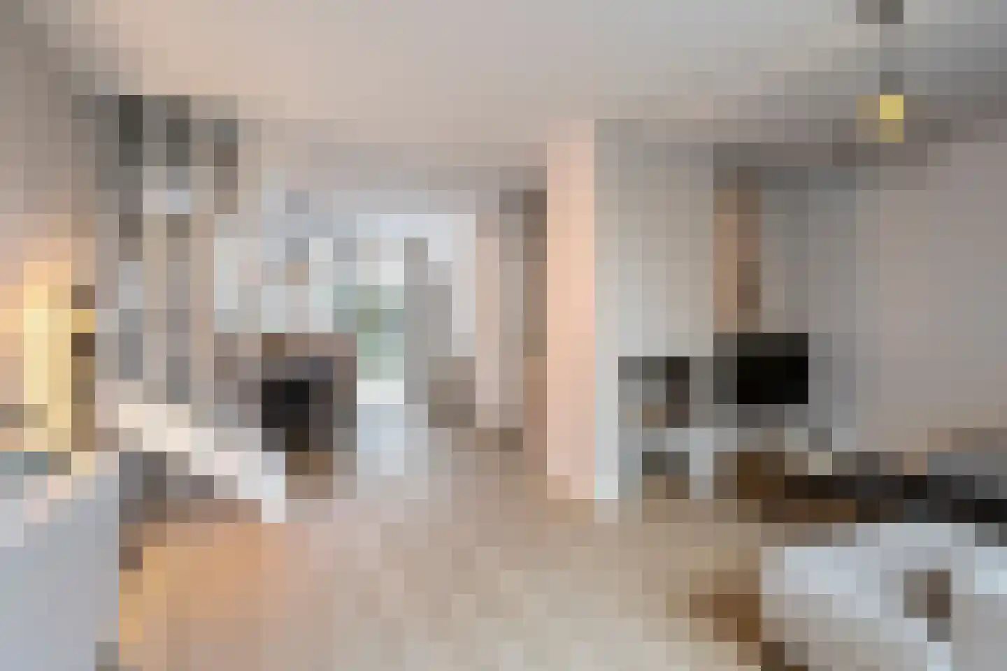 Duinkerkenlaan 71 Eindhoven foto 2