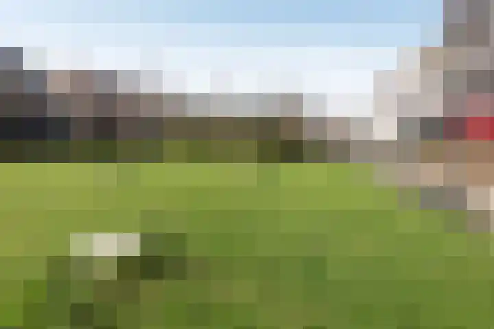 Duinkerkenlaan 71 Eindhoven thumbnail 32