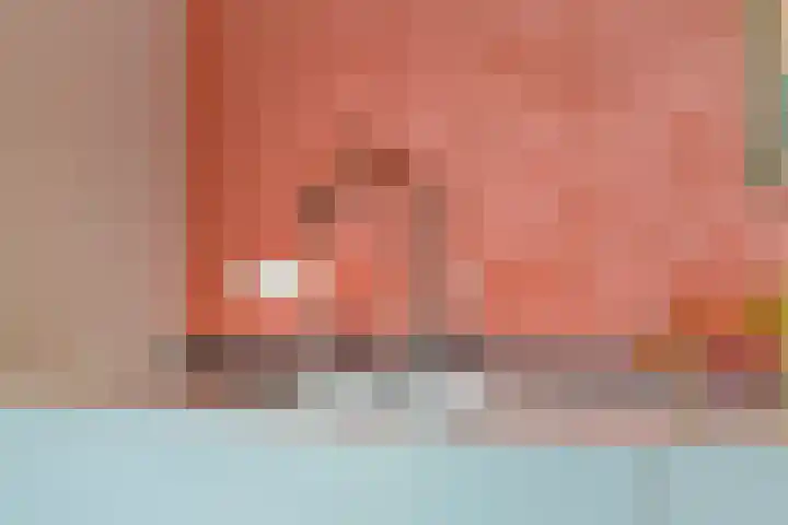 Duinkerkenlaan 71 Eindhoven thumbnail 33