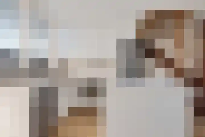 Duinkerkenlaan 99 Eindhoven thumbnail 13