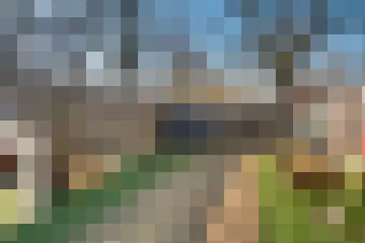Duinkerkenlaan 99 Eindhoven thumbnail 25