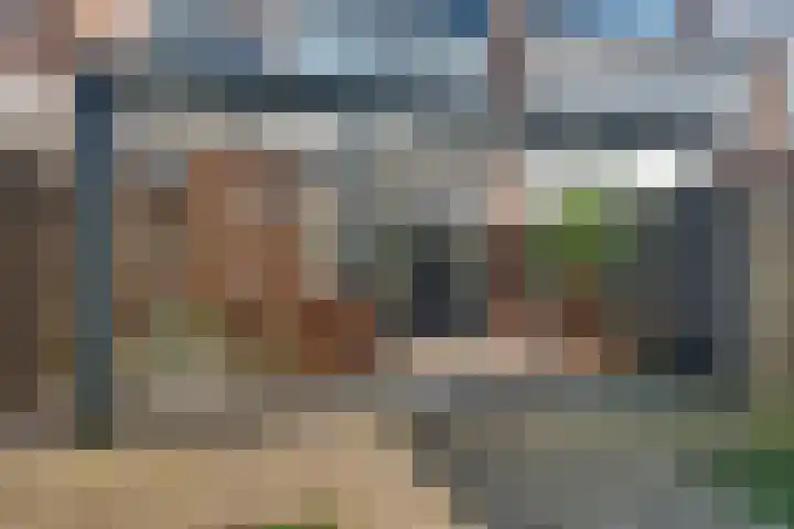 Duinkerkenlaan 99 Eindhoven thumbnail 27