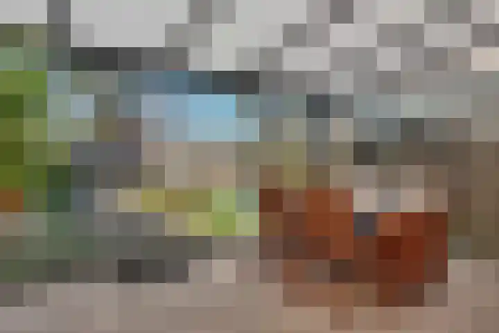 Duinkerkenlaan 99 Eindhoven thumbnail 28