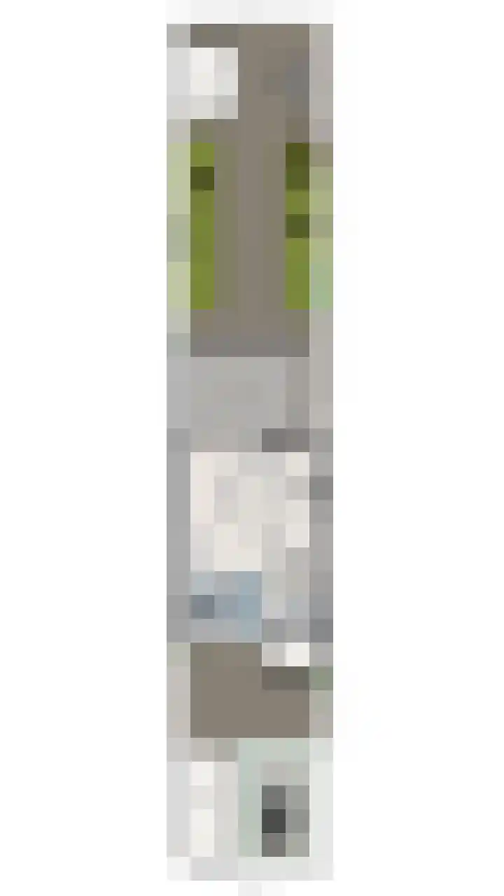 Duinkerkenlaan 99 Eindhoven thumbnail 33