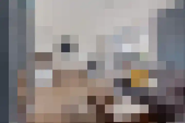 Duinkerkenlaan 99 Eindhoven thumbnail 7