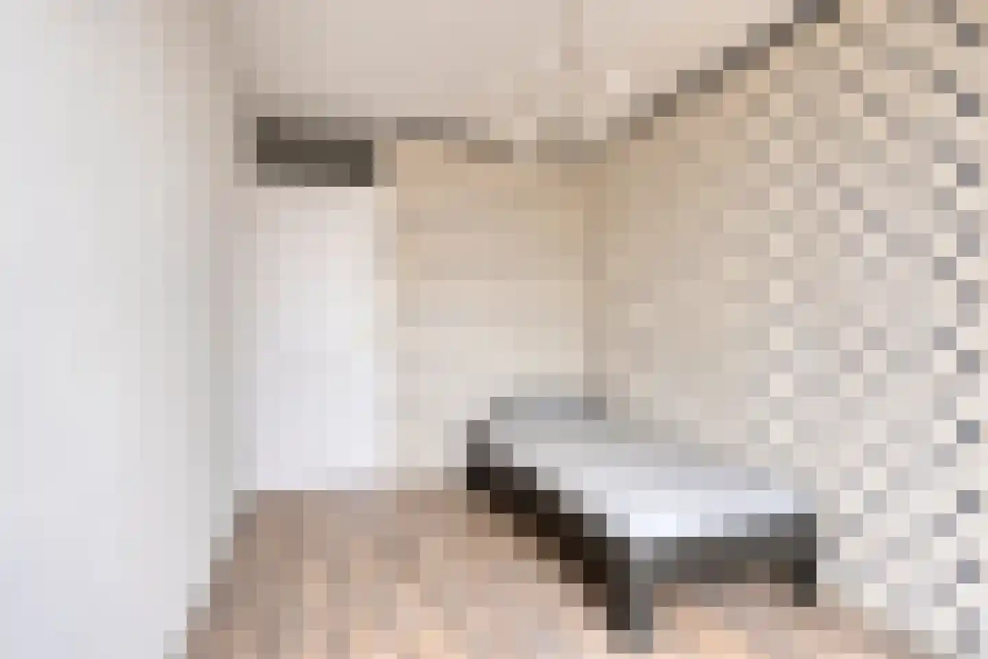 Duinkerker 12 Landsmeer thumbnail 22