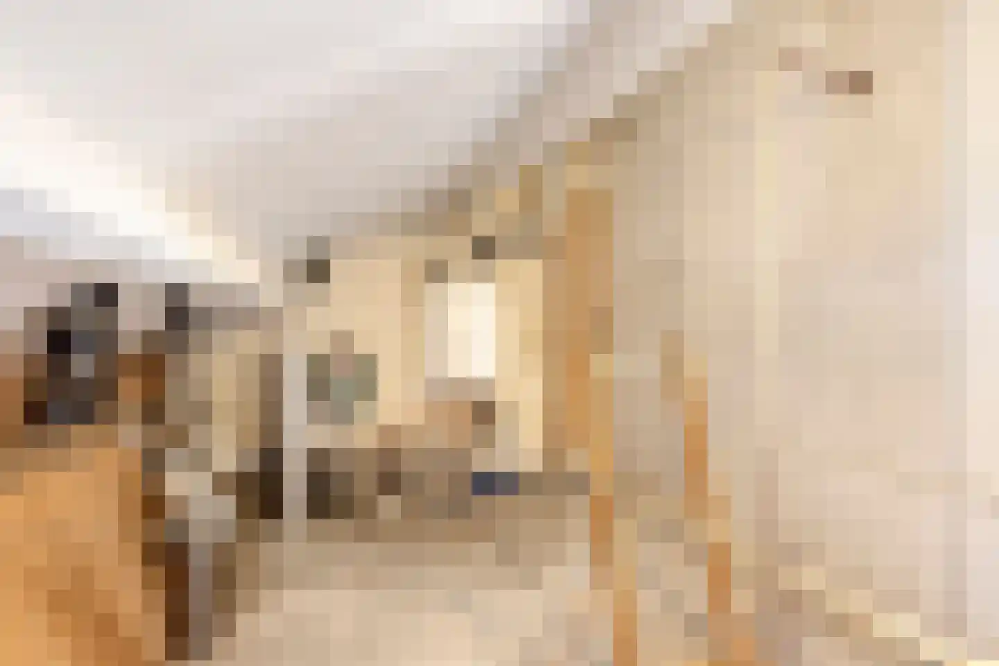 Duinkerker 12 Landsmeer thumbnail 30