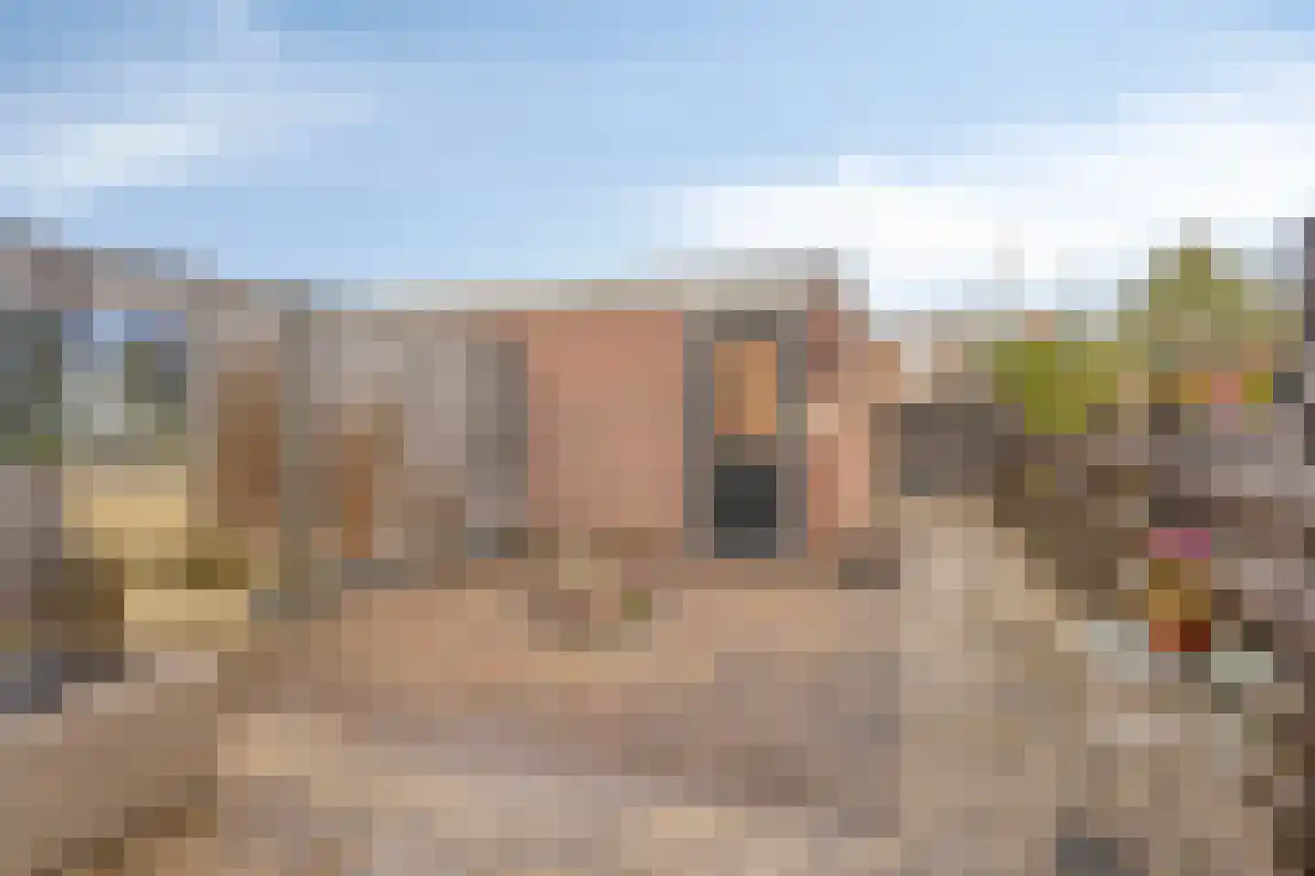 Duinkerker 12 Landsmeer thumbnail 5