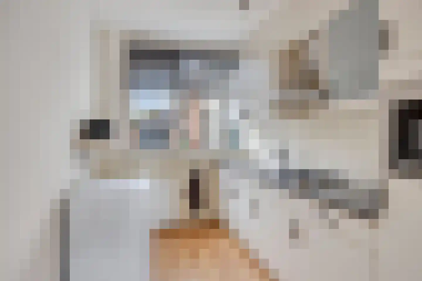 Duinkerker 12 Landsmeer thumbnail 6