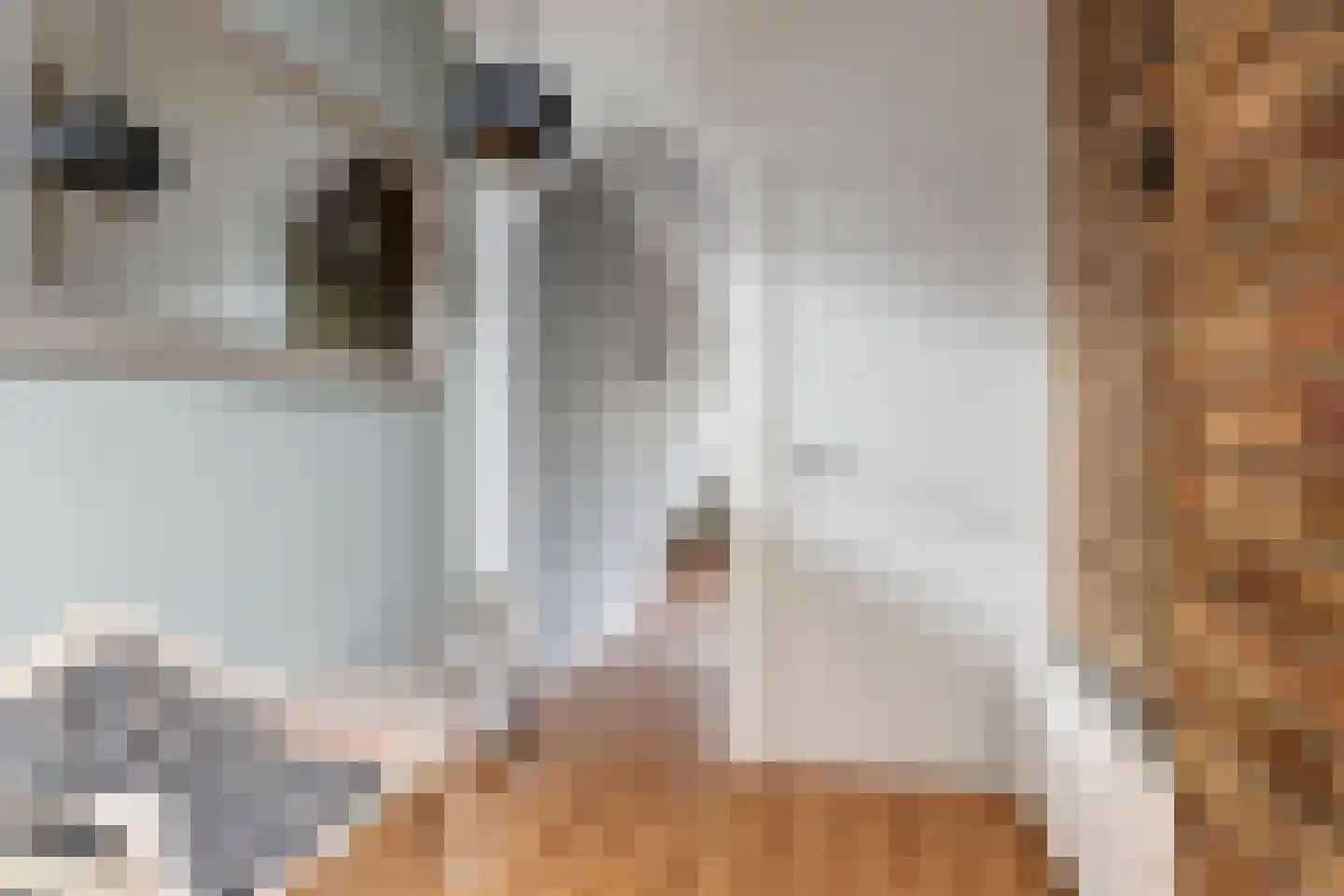 Duinkerker 12 Landsmeer thumbnail 7