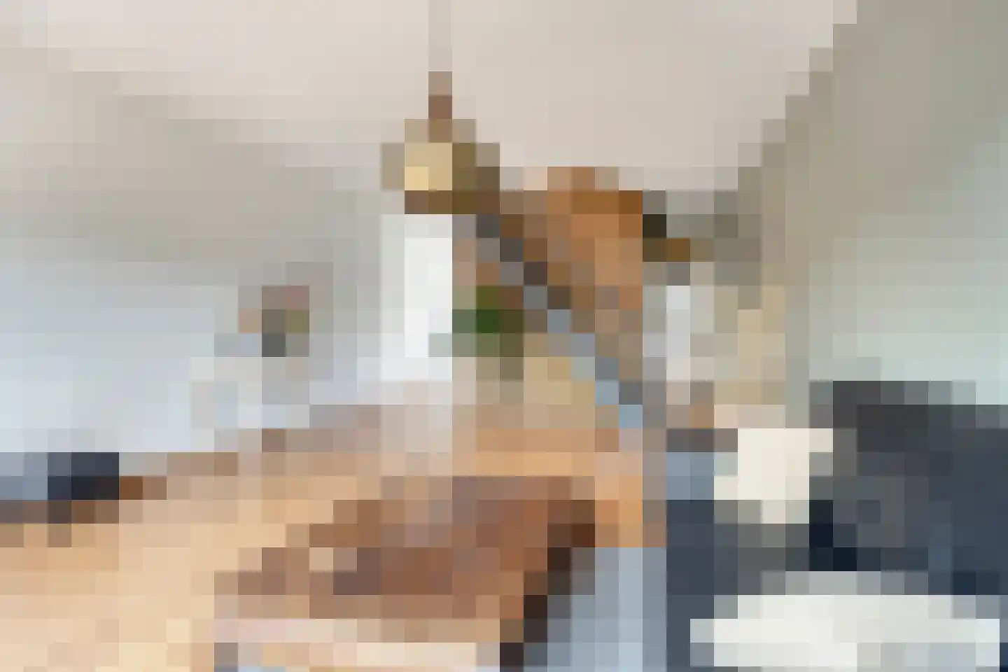 Duinkerker 12 Landsmeer thumbnail 9