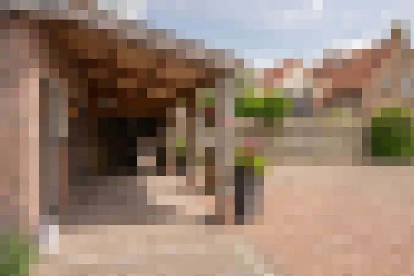 Duinkerkerweg 13 Oosterwolde Gld thumbnail 42