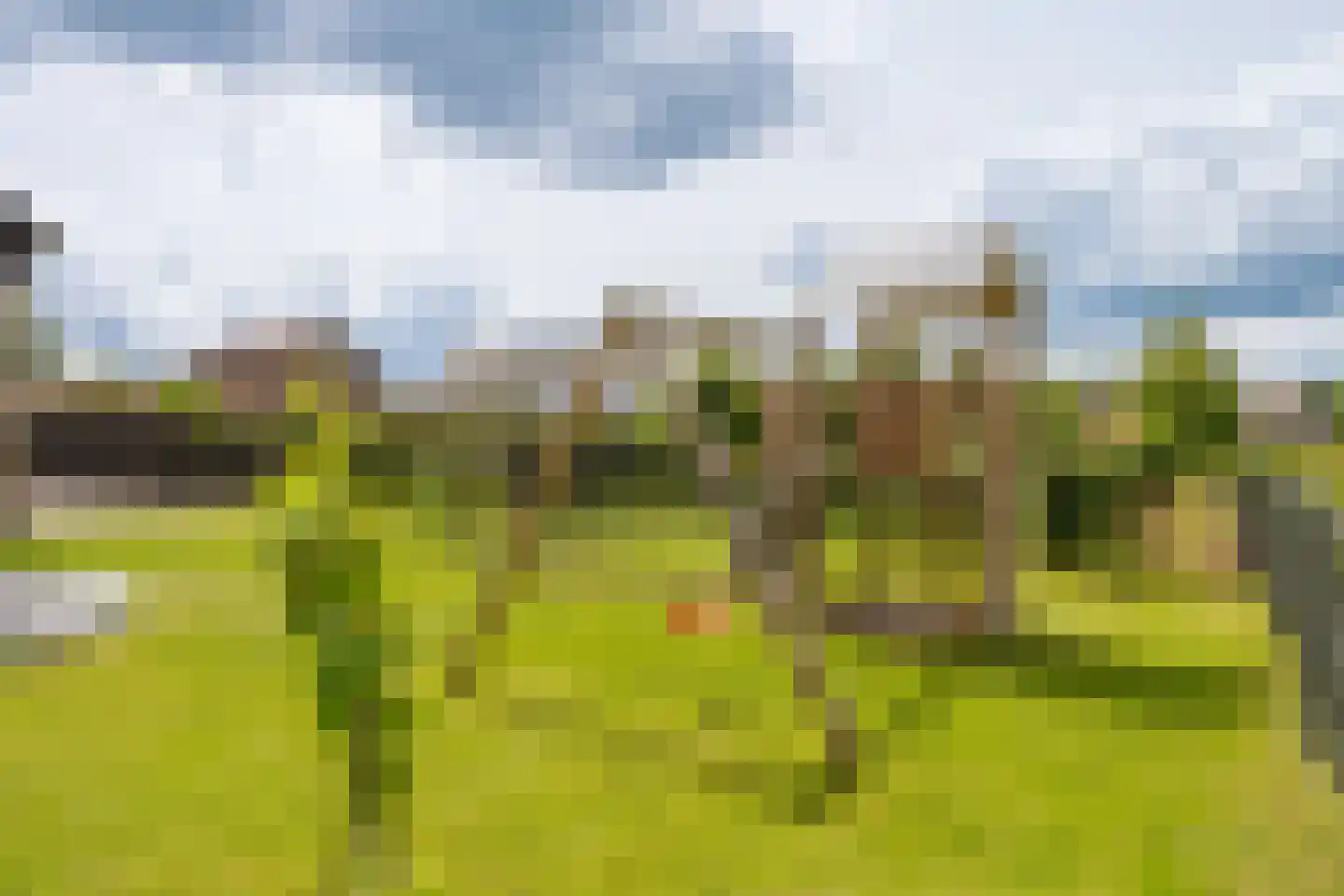 Duinkerkerweg 13 Oosterwolde Gld thumbnail 46
