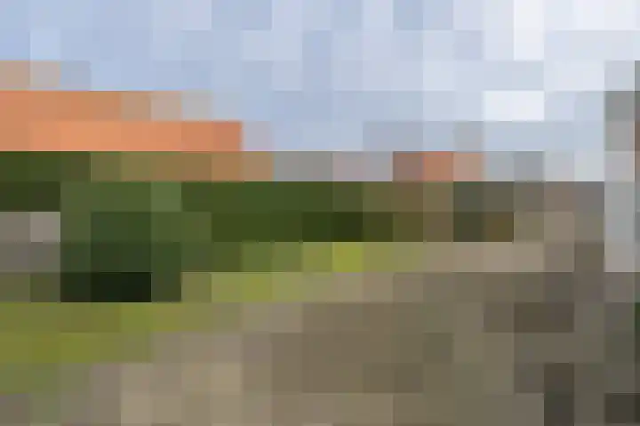 Duinkerkerweg 14 Ouddorp thumbnail 39