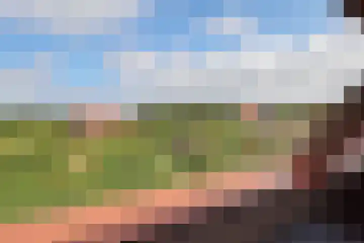 Duinkersoord 113 23 Vlieland thumbnail 17