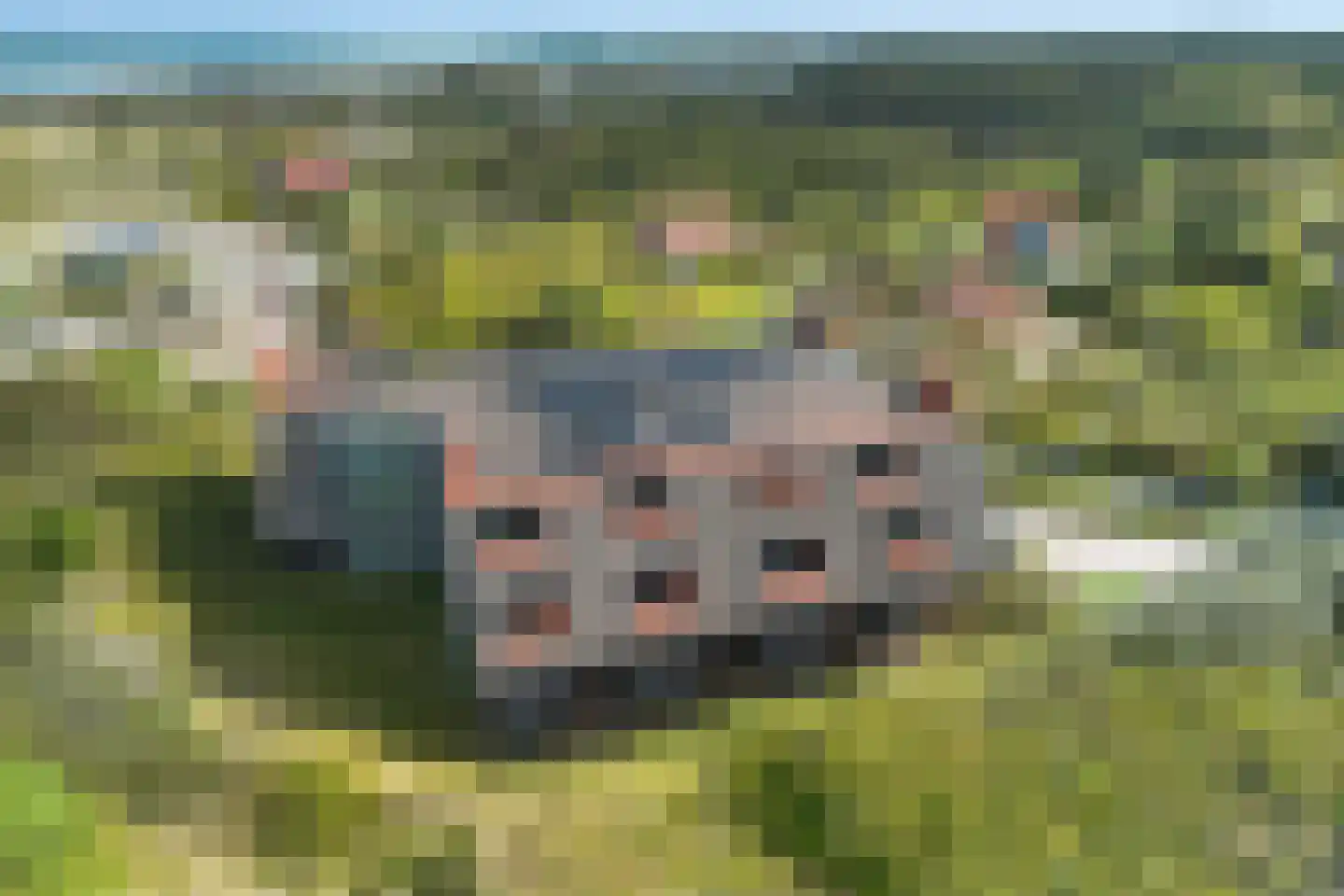 Duinkersoord 113 25 Vlieland thumbnail 33
