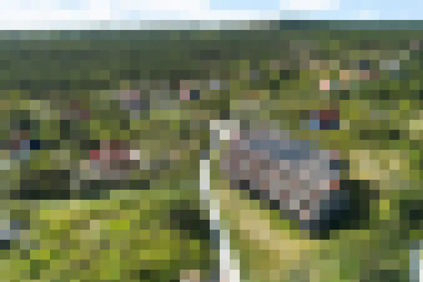 Duinkersoord 113 25 Vlieland thumbnail 35