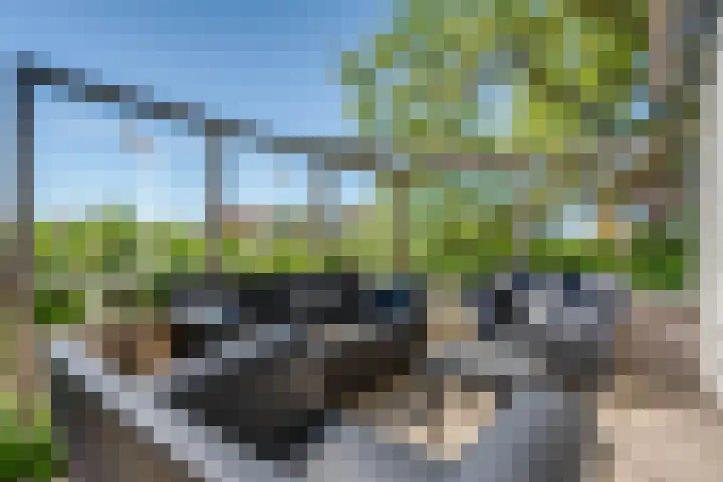 Duinkersoord 50 Vlieland thumbnail 33