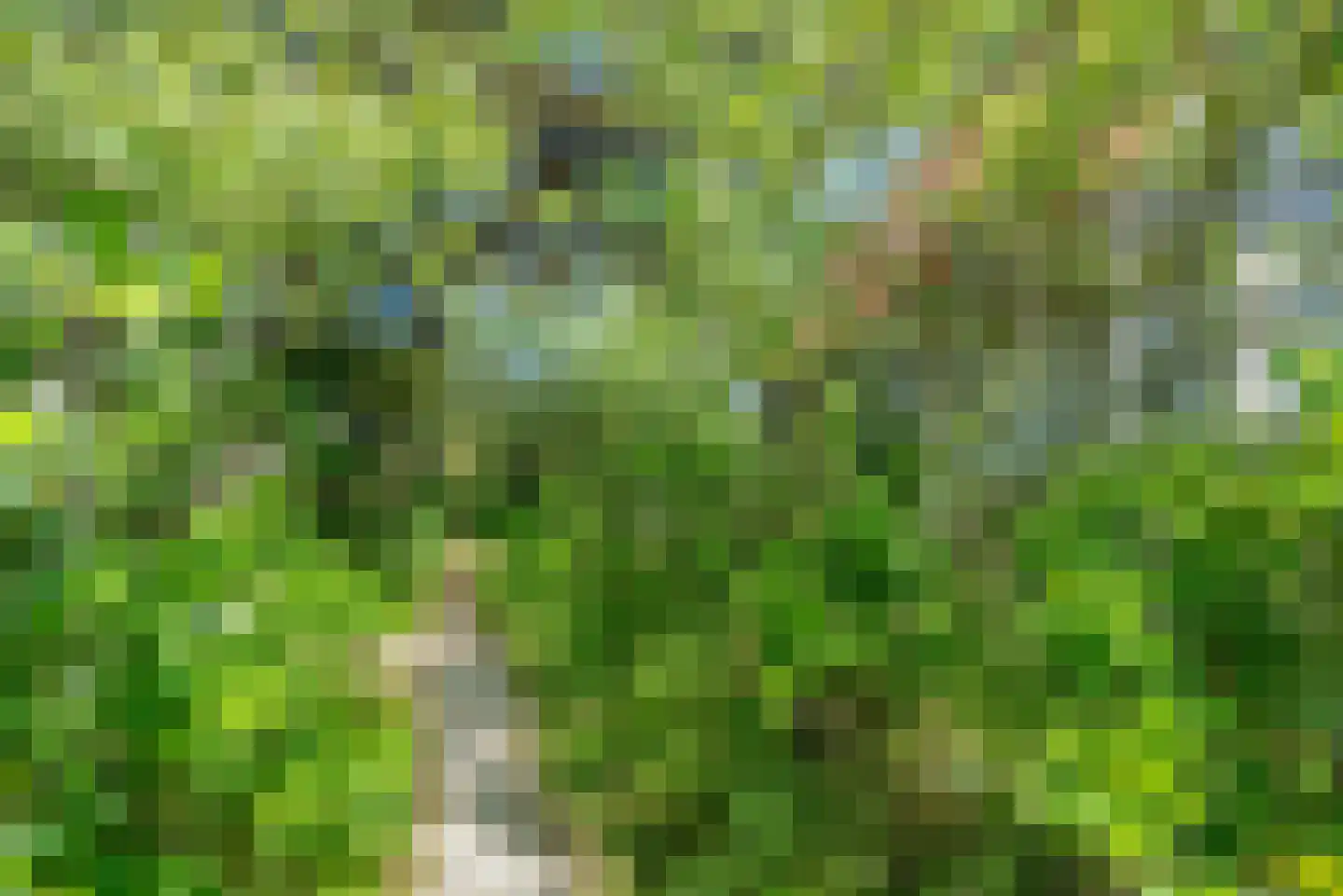 Duinkersoord 50 Vlieland thumbnail 4
