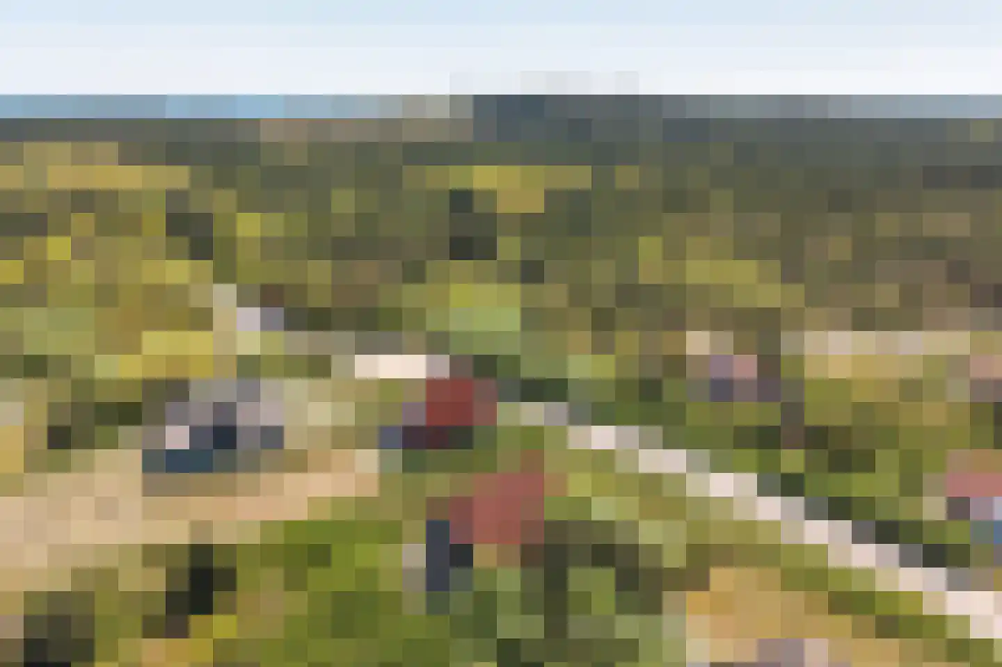 Duinkersoord 50 Vlieland thumbnail 47