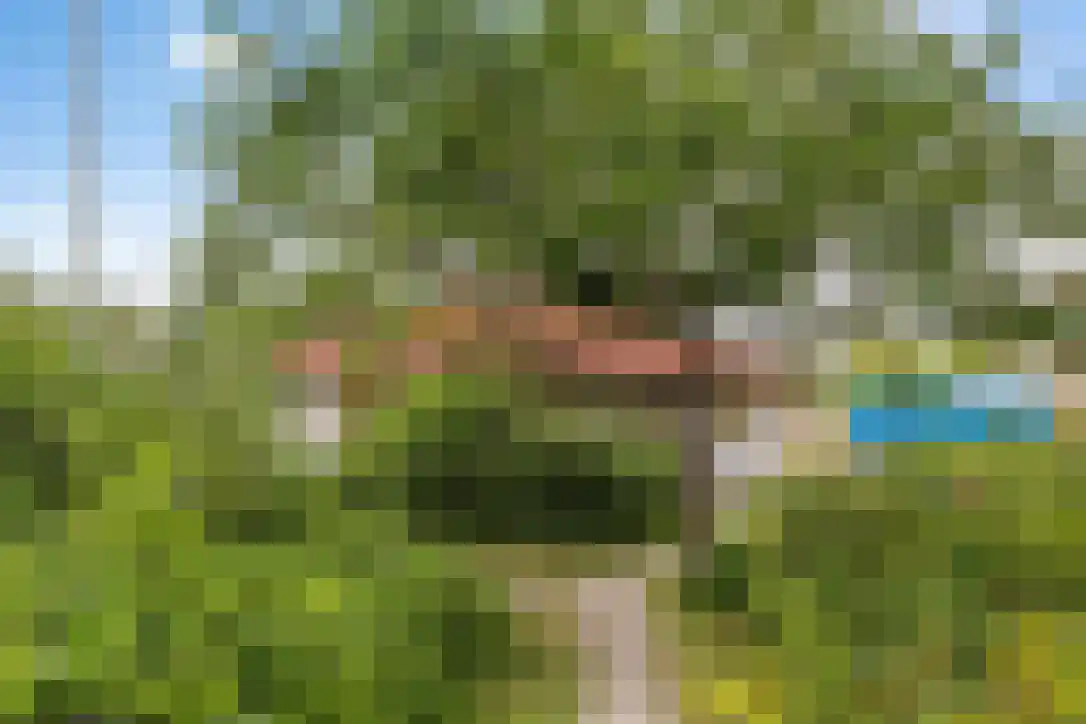Duinkersoord 9 Vlieland thumbnail 20