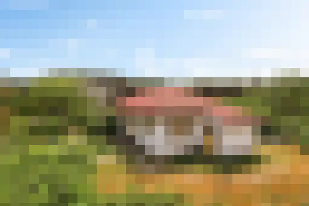 Duinkersoord 9 Vlieland thumbnail 4
