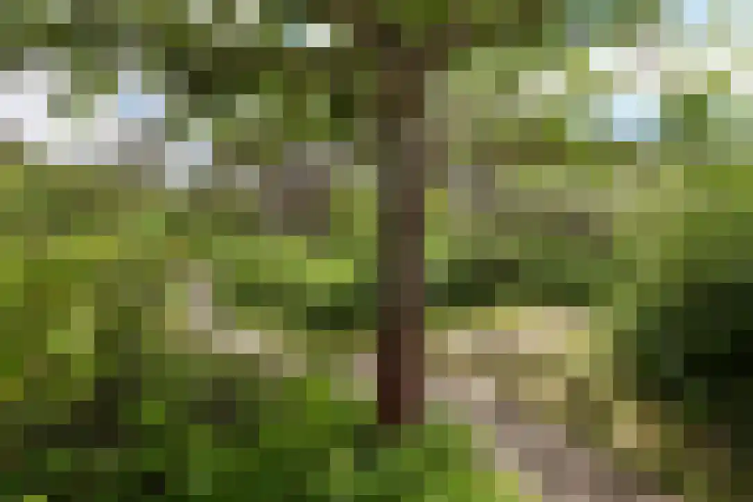 Duinkersoord 9 Vlieland thumbnail 5