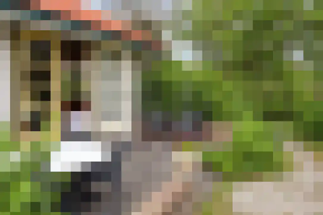 Duinkersoord 9 Vlieland thumbnail 6