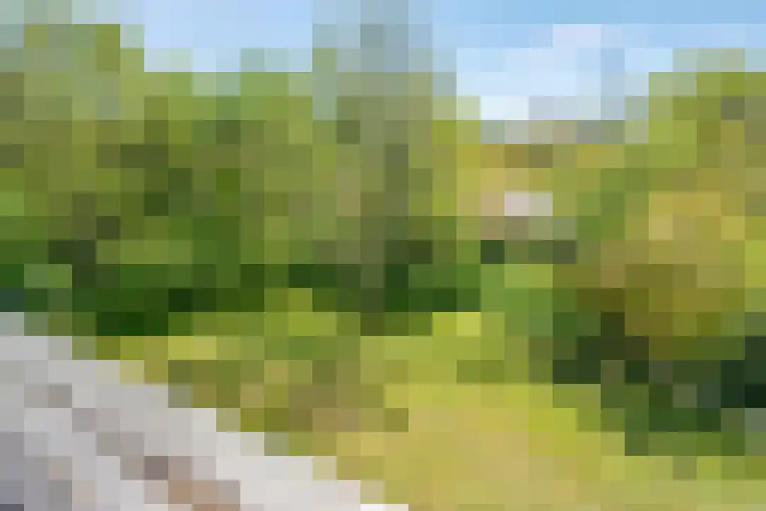 Duinkersoord 94 A Vlieland thumbnail 21