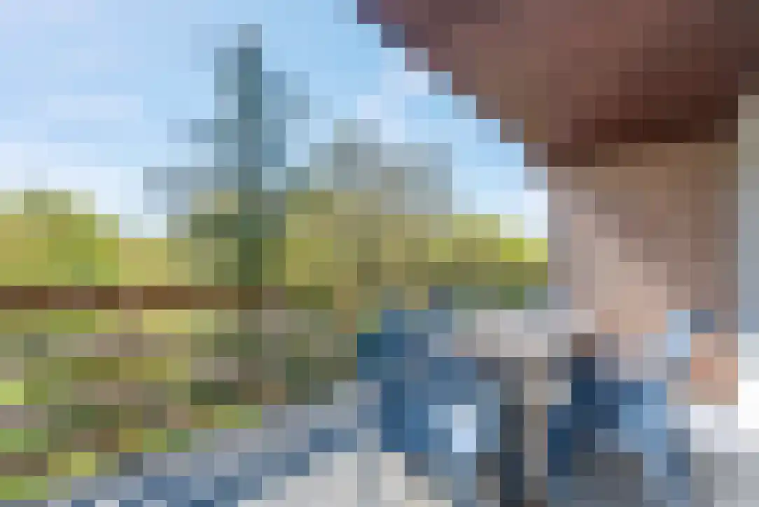 Duinkersoord 94 A Vlieland thumbnail 23