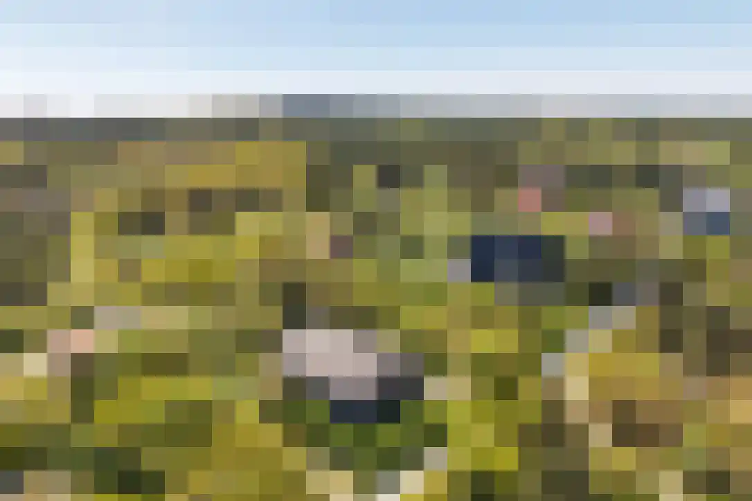 Duinkersoord 94 A Vlieland thumbnail 4
