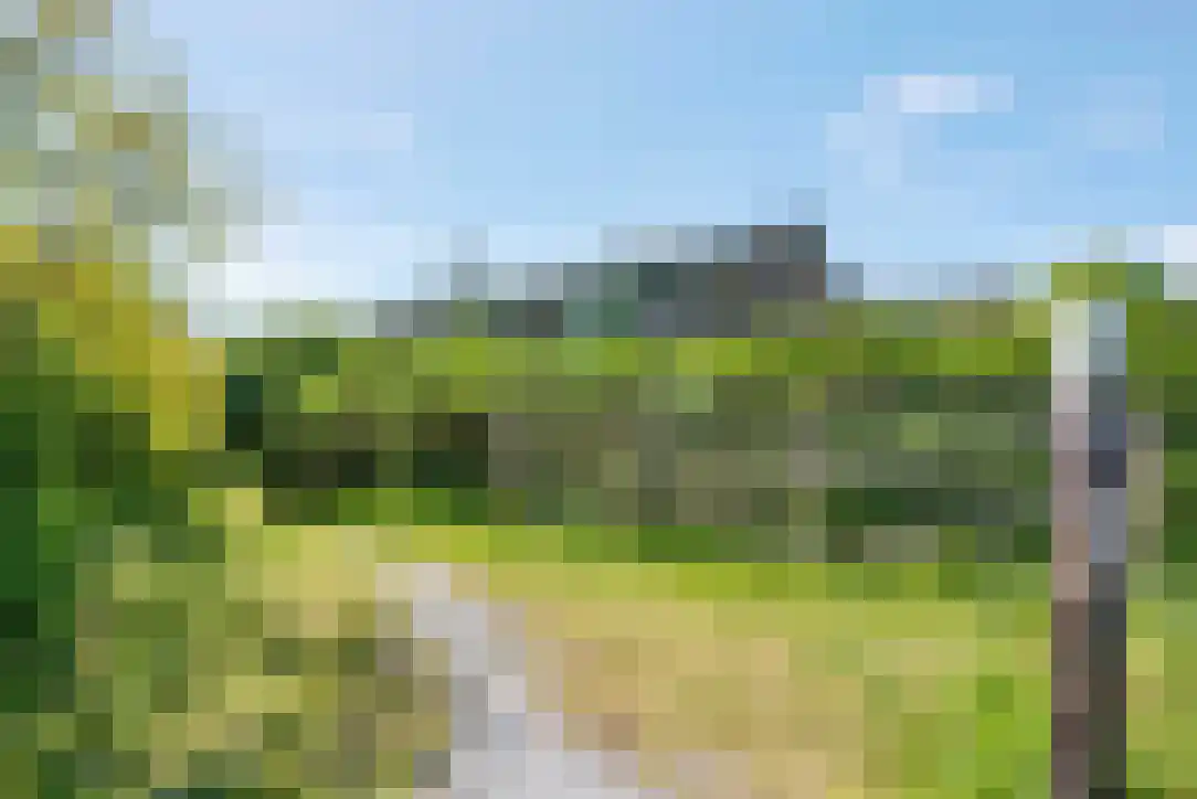Duinkersoord 94 A Vlieland thumbnail 45