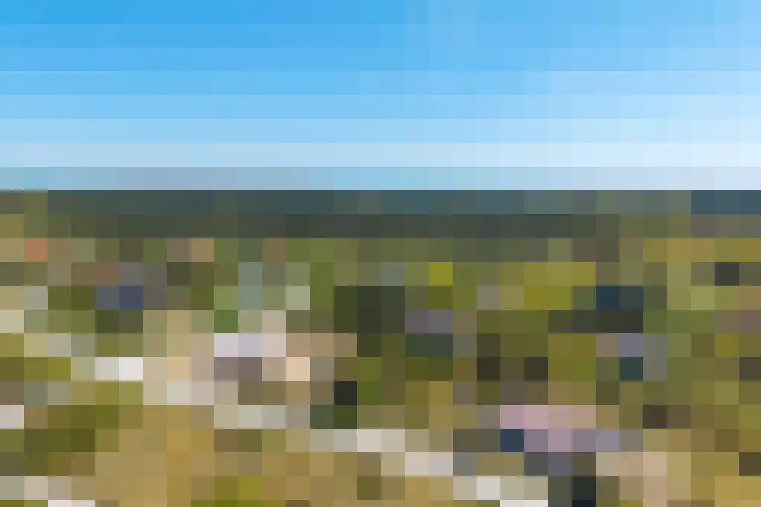 Duinkersoord 94 A Vlieland thumbnail 47