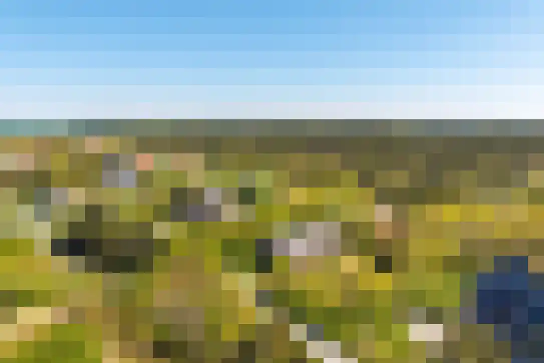 Duinkersoord 94 A Vlieland thumbnail 48