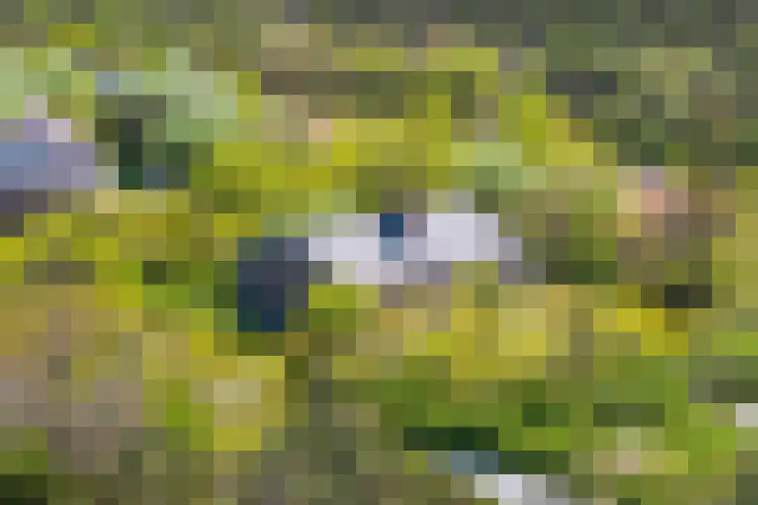 Duinkersoord 94 A Vlieland thumbnail 5