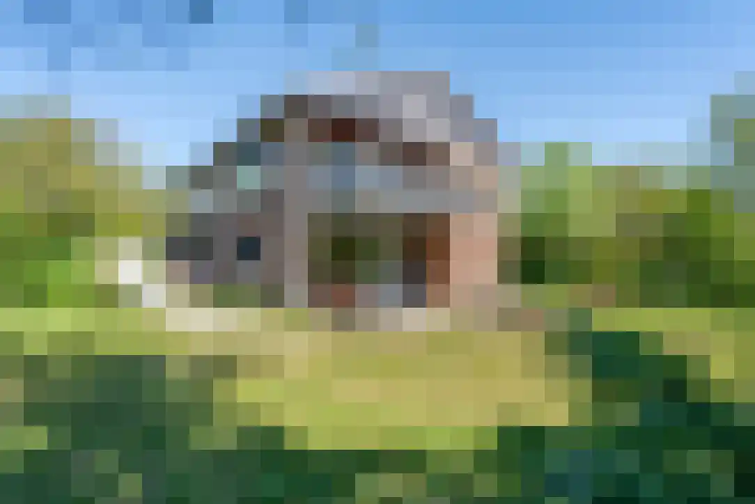 Duinkersoord 94 A Vlieland thumbnail 6